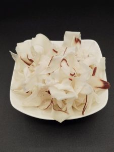 たこかま白皿